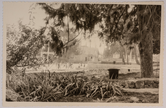 حديقة ومبنى