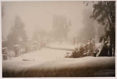 Snow