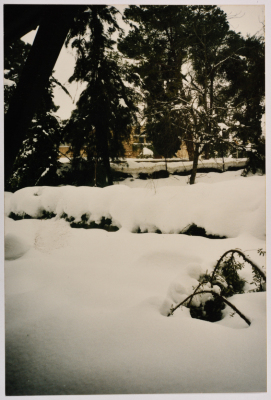 Snow