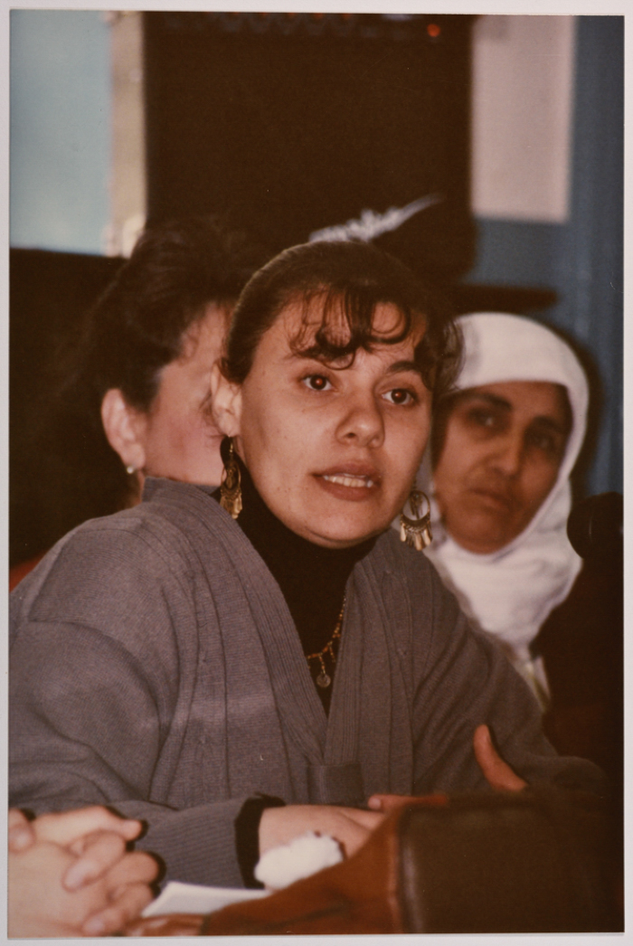 A Woman Speaking at a Meeting