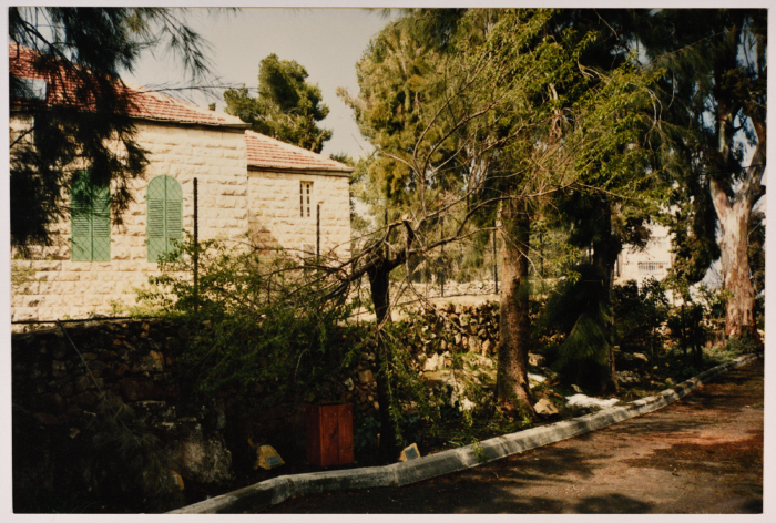 حديقة ومنزل