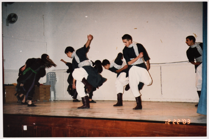 A Glimpse of a Dabkeh Dance 