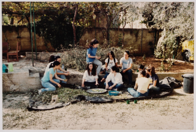 Young Women During Olive Picking Season 
