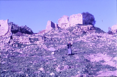 Developed Positive Slides Acquired from Researcher Sharif Kanaaneh, there is No Information Available About the Slides