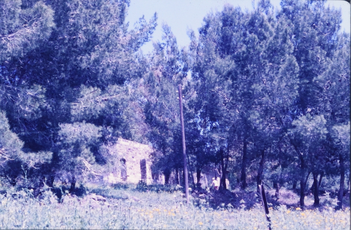 صور تم إظهارها بوزيتيف (إيجابيات) تم الحصول عليها من الباحث شريف كناعنة ولم يتوفر معلومات حولها