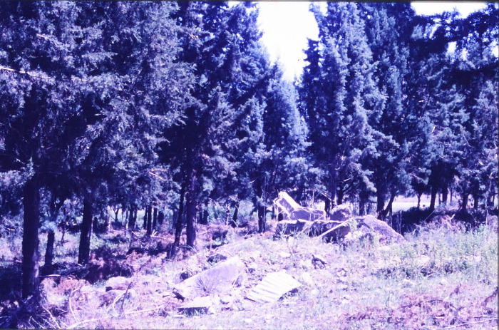 صور تم إظهارها بوزيتيف (إيجابيات) تم الحصول عليها من الباحث شريف كناعنة ولم يتوفر معلومات حولها