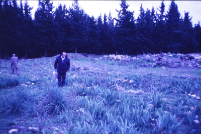 صور تم إظهارها بوزيتيف (إيجابيات) تم الحصول عليها من الباحث شريف كناعنة ولم يتوفر معلومات حولها