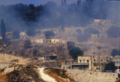 Developed Positive Slides Acquired from Researcher Sharif Kanaaneh, there is No Information Available About the Slides