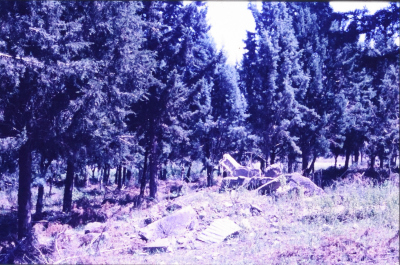 Developed Positive Slides Acquired from Researcher Sharif Kanaaneh, there is No Information Available About the Slides