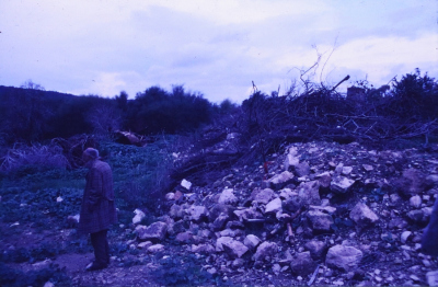 Developed Positive Slides Acquired from Researcher Sharif Kanaaneh, there is No Information Available About the Slides
