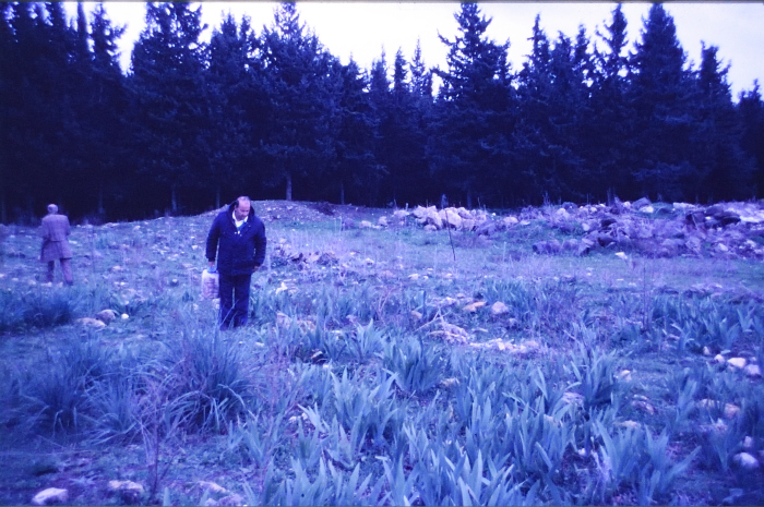 صور تم إظهارها بوزيتيف (إيجابيات) تم الحصول عليها من الباحث شريف كناعنة ولم يتوفر معلومات حولها