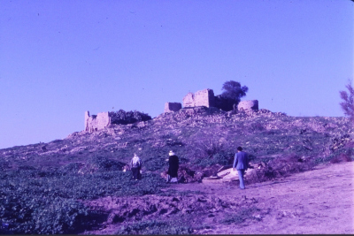 Developed Positive Slides Acquired from Researcher Sharif Kanaaneh, there is No Information Available About the Slides