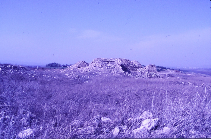 صور تم إظهارها بوزيتيف (إيجابيات) تم الحصول عليها من الباحث شريف كناعنة ولم يتوفر معلومات حولها