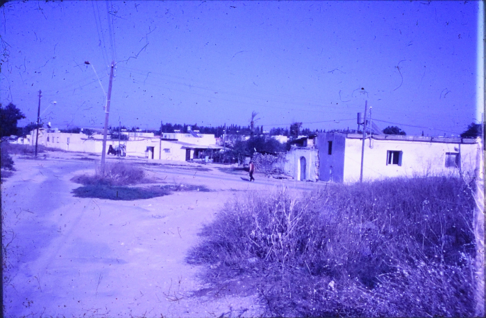 Developed Positive Slides Acquired from Researcher Sharif Kanaaneh, there is No Information Available About the Slides