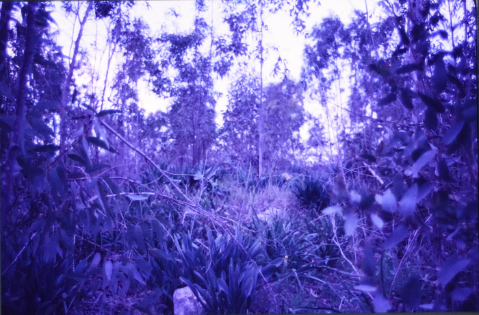 صور تم إظهارها بوزيتيف (إيجابيات) تم الحصول عليها من الباحث شريف كناعنة ولم يتوفر معلومات حولها