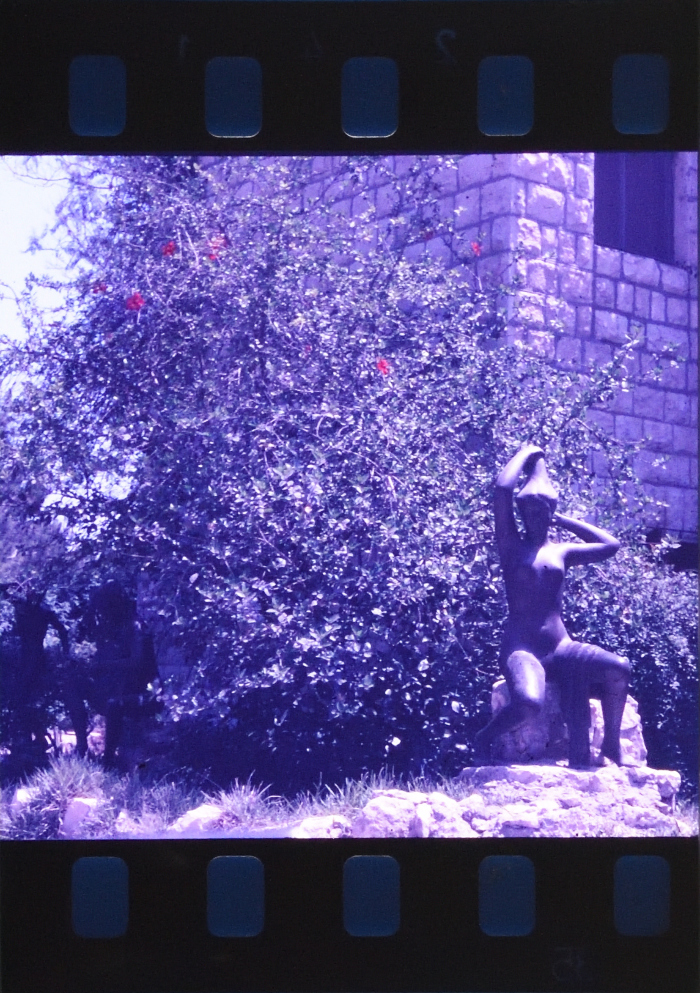 Developed Positive Slides Acquired from Researcher Sharif Kanaaneh, there is No Information Available About the Slides