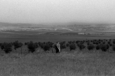 Lakiya Town, the Negev, 1987
