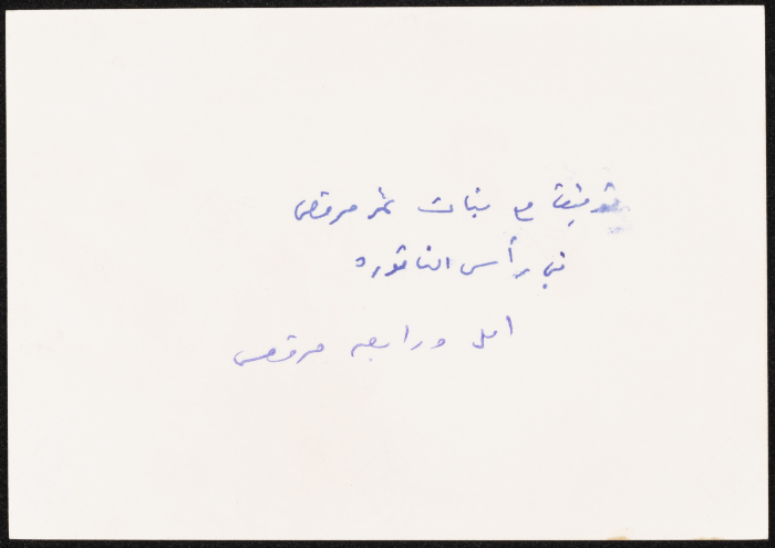 Tawfiq Zayyad Accompanied by Amal and Rabʿa Markqas in Raas an-Naqura