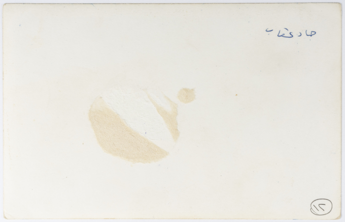 Al-Taybeh Youth Union While Performing a Theatrical Performance