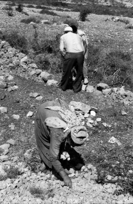 Kaubar Village Farmers