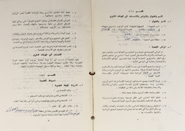 The Model Bylaws of the Olive Pressing and Marketing Cooperatives, 20 April 1981
