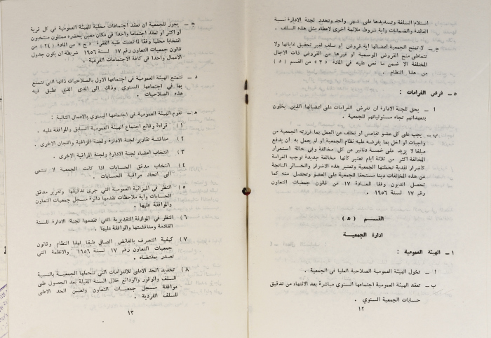 The Model Bylaws of the Olive Pressing and Marketing Cooperatives, 20 April 1981