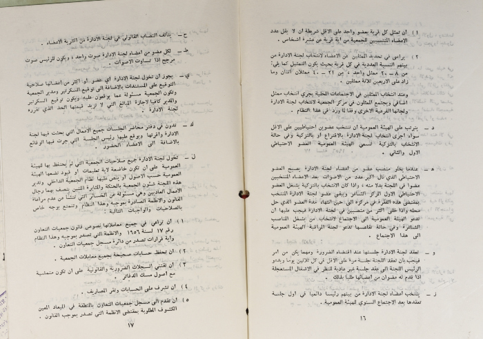The Model Bylaws of the Olive Pressing and Marketing Cooperatives, 20 April 1981