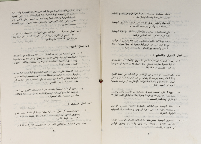 The Model Bylaws of the Olive Pressing and Marketing Cooperatives, 20 April 1981
