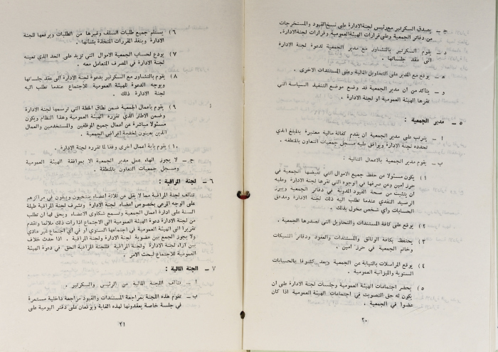 The Model Bylaws of the Olive Pressing and Marketing Cooperatives, 20 April 1981