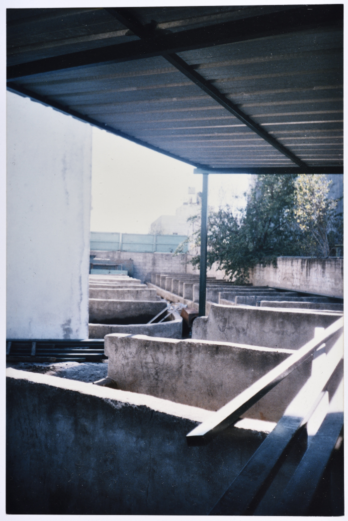 نشاطات الجمعية التعاونية لعصر الزيتون  في سلفيت خلال موسم قطف الزيتون 