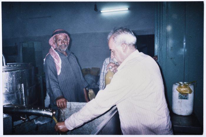 A Glimpse of Salfeet Olive Press and Marketing Cooperative During the Olive Season