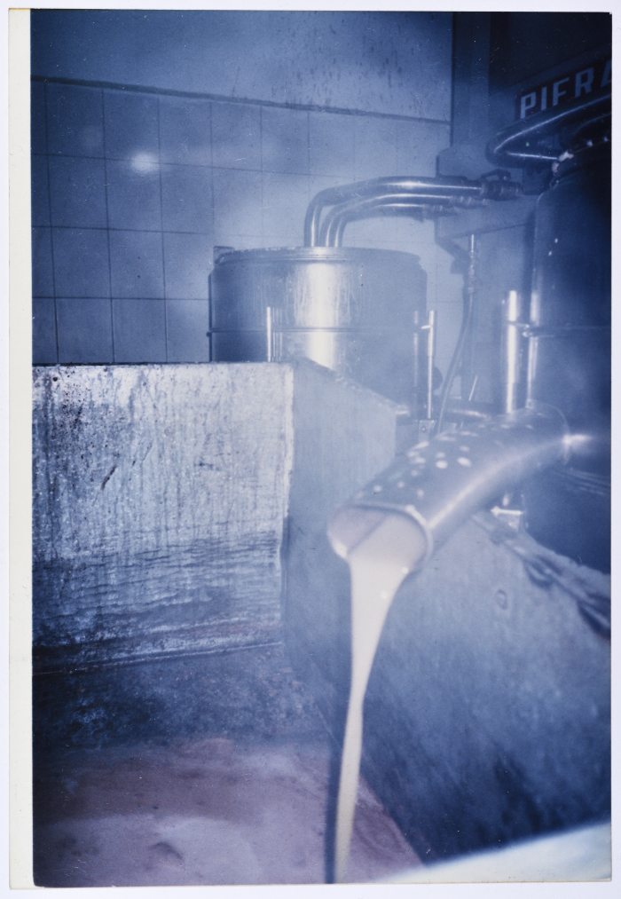 A Glimpse of Salfeet Olive Press and Marketing Cooperative During the Olive Season