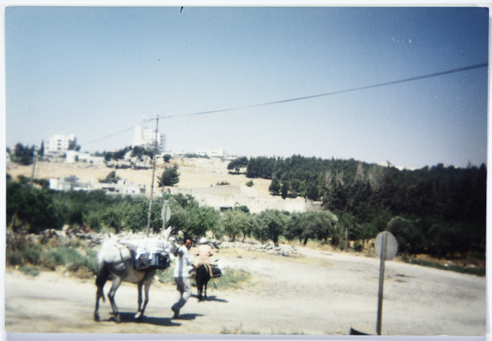 أبو زياد، أرطاس، 1996