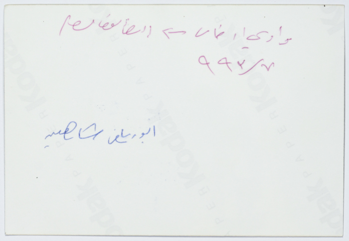 أبو رياض شاهين، أرطاس، 1993