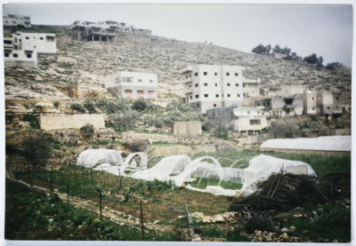 أرطاس، 1997