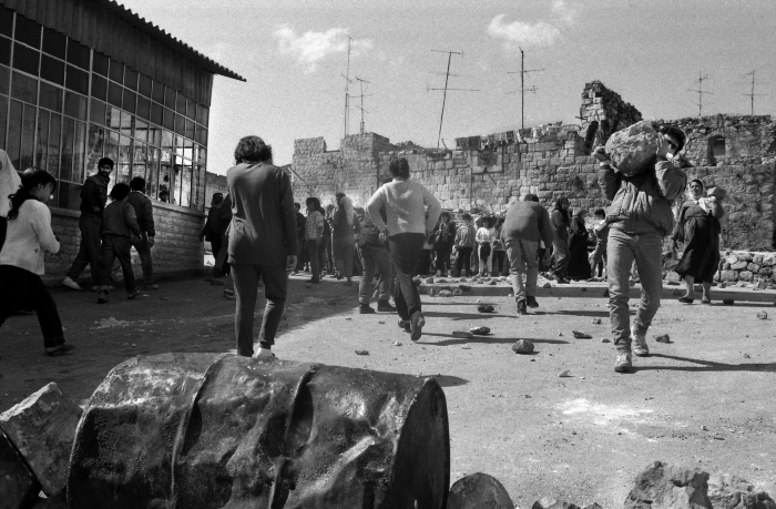 Young Girls Preparing Stones and Barricades for Clashes with Israeli Occupation Forces