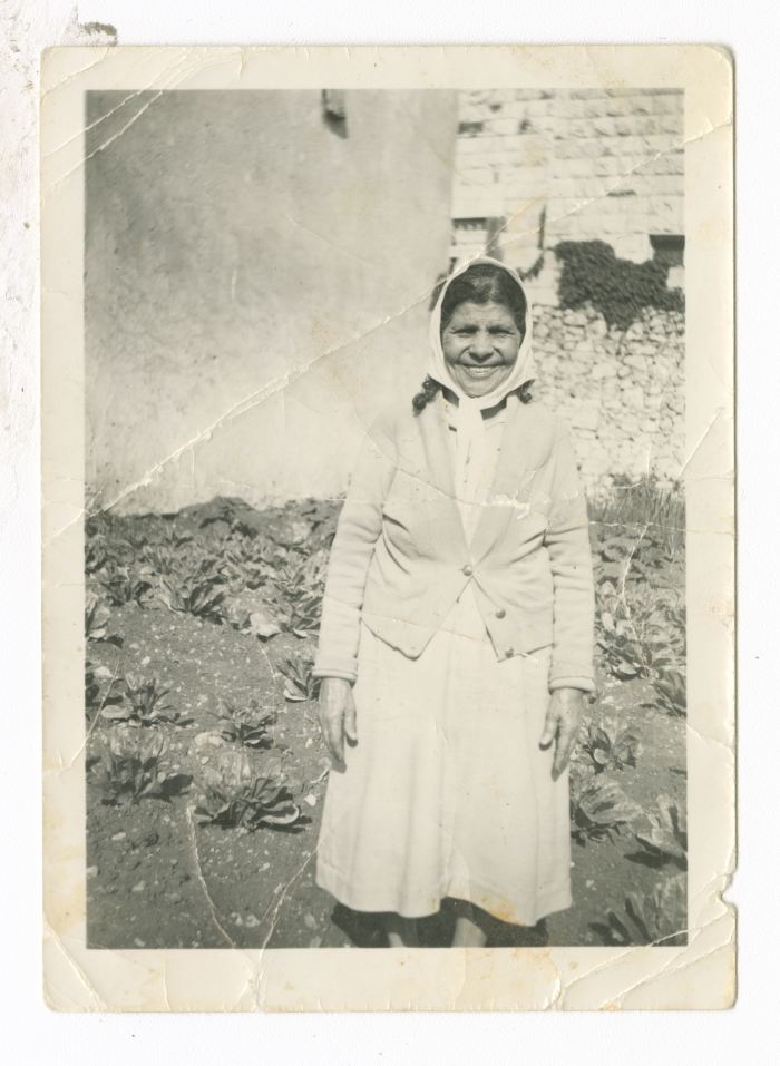 غزالة غزال