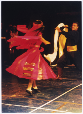 A Glimpse of el-Funoun Palestinian Popular Dance Troupe
