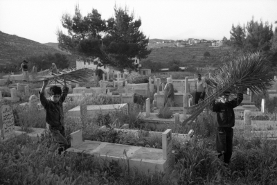 أطفال يحملون فروع أشجار داخل مقبرة
