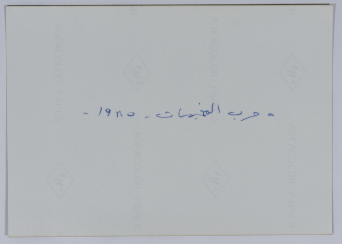 People Examining Covered Corpses 