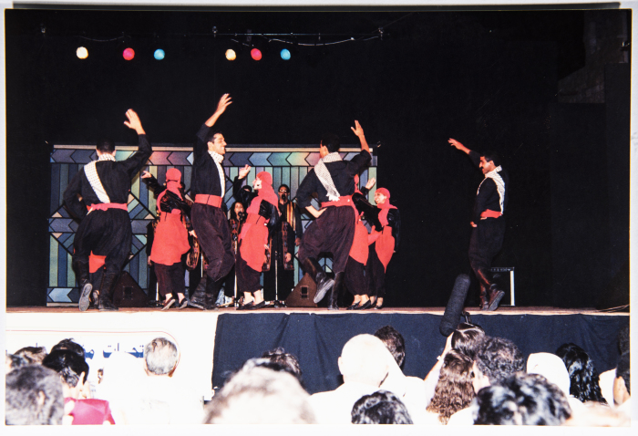 A Photograph from a Performance by El-Funoun Troupe
