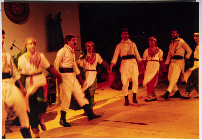 A Glimpse of el-Funoun Palestinian Popular Dance Troupe's 