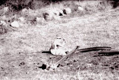 مصطفى أبو درويش خلال عمله في الأرض