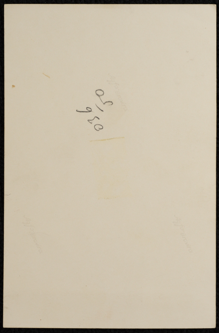 Malak al-Husseini on her wedding day