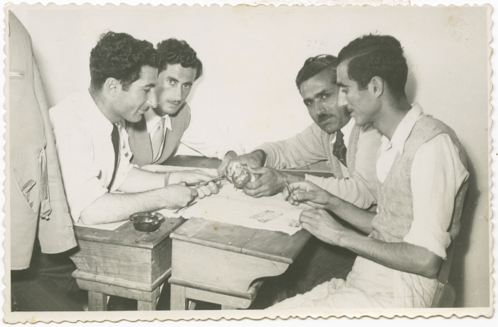 Dissection of a bird; as a part of a lesson in the Nature course