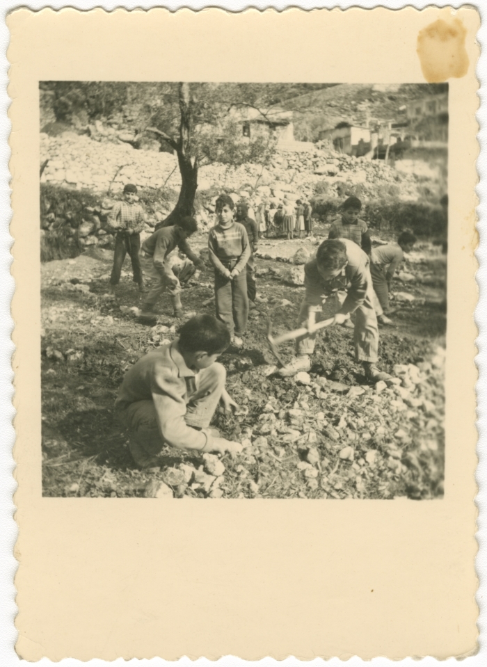Children working the land