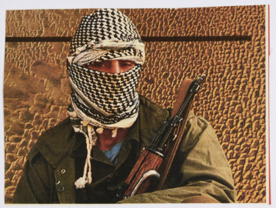A Palestinian Fighter 