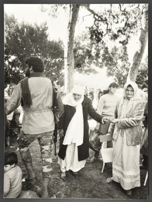 تجمّع في مخيم عين الحلوة، 1982- 1988