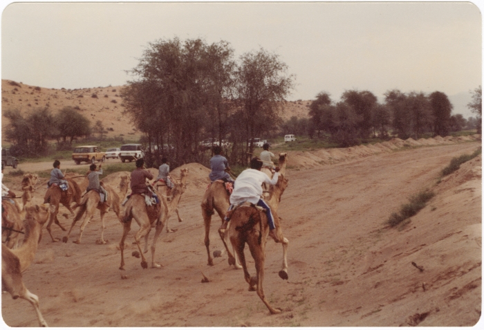 لقطة في سباق جمال