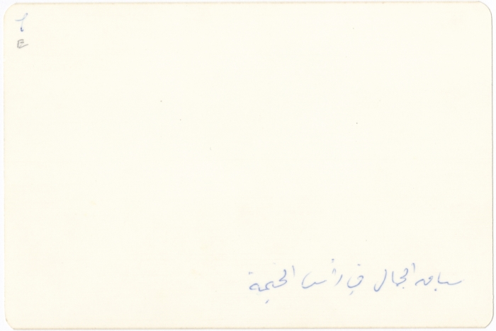 لقطة في سباق جمال